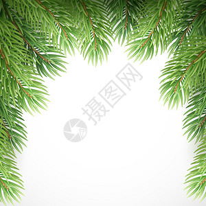 绿色树枝如圣诞节框架矢量插图图片