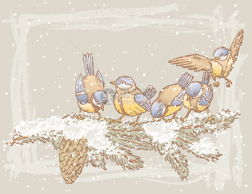 在寒雪的冬天鸟图片
