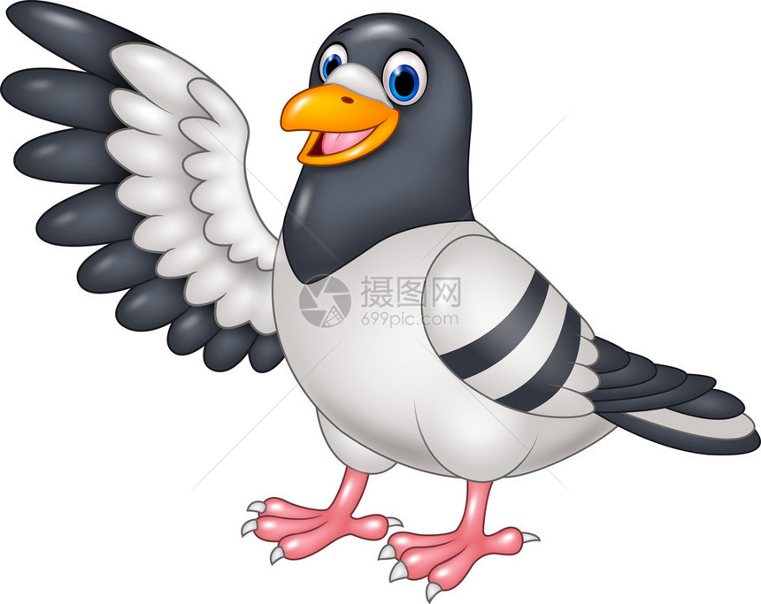 卡通滑稽鸽鸟的矢量插图展示白背图片
