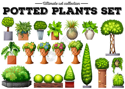 花园插图中的盆栽植物图片