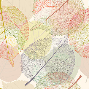无缝模式与彩色秋叶矢量E背景图片