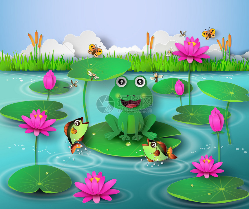 池塘里的青蛙和盛开的莲花图片