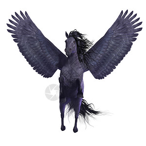 飞马是一种神圣的神话动物它有一匹图片