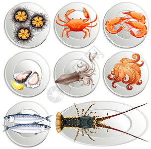 盘子上的各种海鲜插图图片