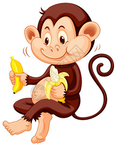小猴子吃香蕉图图片