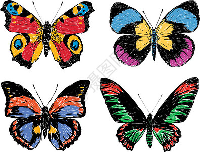 不同色彩蝴蝶的矢量图像图片