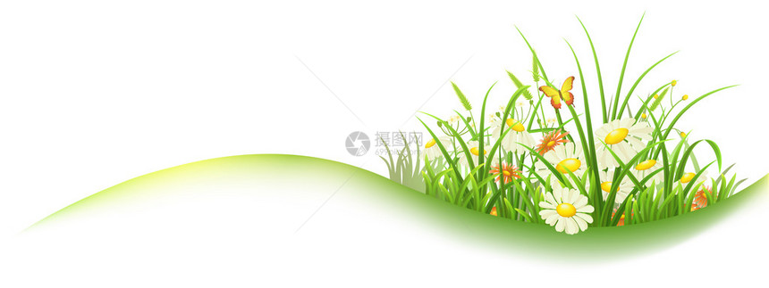 带绿草和鲜花矢量插图片