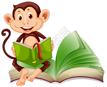 小猴子坐着看书插画图片