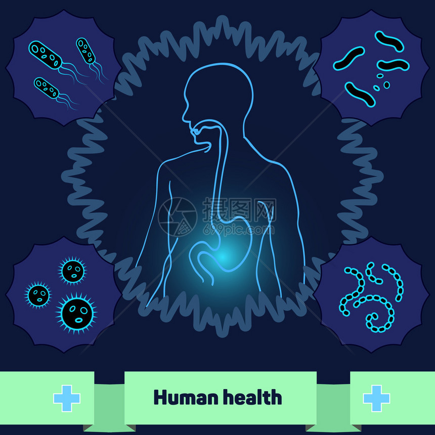 人体不含危险的细菌和微生物图片