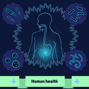 人体不含危险的细菌和微生物图片