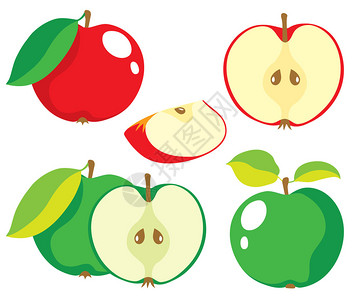 红色和绿色苹果的集合矢量插图图片