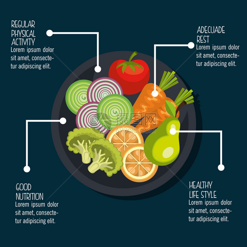 健康食品设计矢量说明e图片