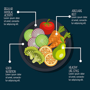 健康食品设计矢量说明e图片