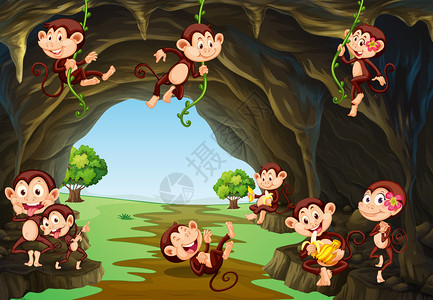 住在山洞里的猴子插画背景图片