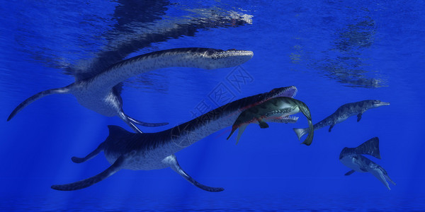 在蓝侏罗纪海中海洋爬行动物成为一顿大图片
