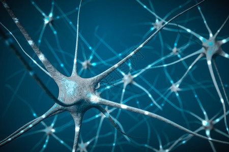 脑中神经元的信号3D图片