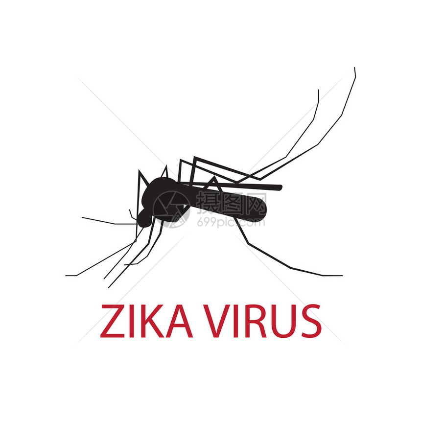 白色背景的蚊子的轮廓Zi图片