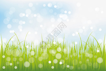 蓝天下的绿草闪亮的光辉背图片