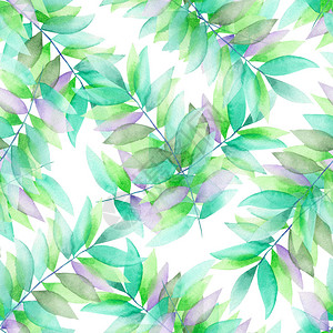 斯宾布里奇树枝上绿色和紫色叶子的无缝花粉模式插画