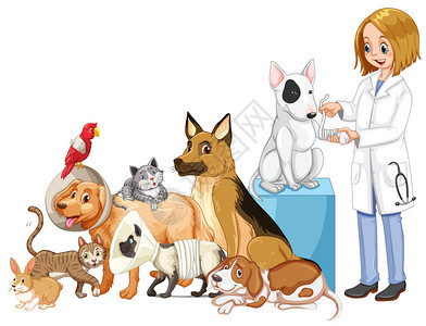兽医和许多受伤的动物插图图片