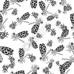 黑白单色昆虫纹理龙蝇和甲虫矢量彩色装饰品等无缝的图片