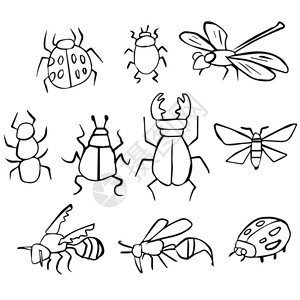 昆虫矢量组图片