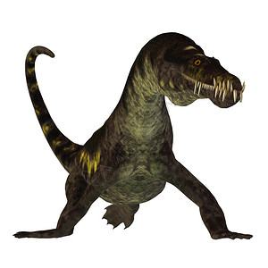 三亚椰田古寨Nothosaurus是生活在北非欧洲和三亚西克时期的半水插画