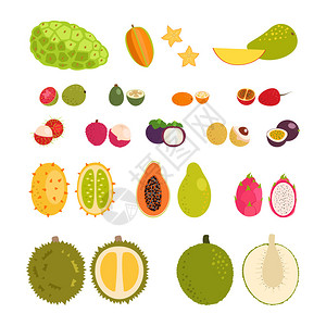 基瓦诺一组平坦的卡通矢量说明热带异国水果插画