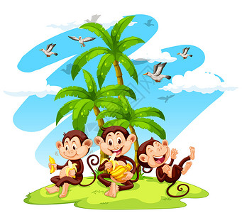 南湾猴岛三只猴子吃香蕉插图插画