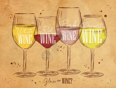 海报葡萄酒类型有四种主要类型的葡萄酒背景图片