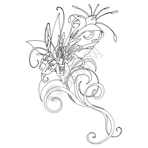 以直线艺术风格绘制的Lilies矢量花样插图图片