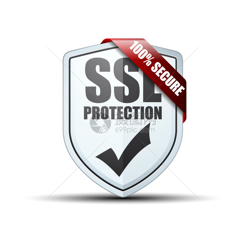 SSL保护盾牌矢量说明孤图片