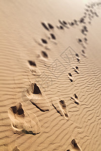 古沙漠和空角的抽象纹理线波在Om图片