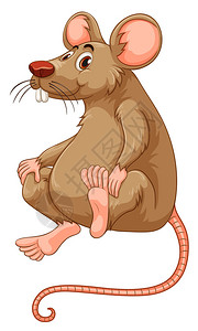 棕色皮毛插图的小老鼠图片