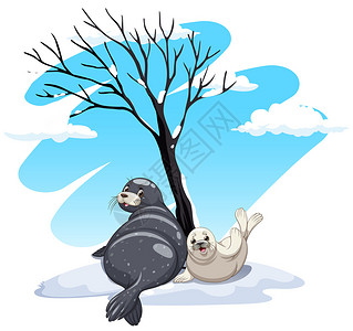 斑海豹海豹坐在冰上插图插画
