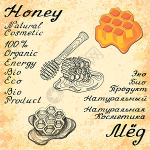 蜂蜜向量组的3绘图和手工刻字在英语和俄语文本中环保的用于标签传单在线商店天然生物制品背景图片