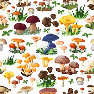 蘑菇与森林野生物种的无缝模式图片
