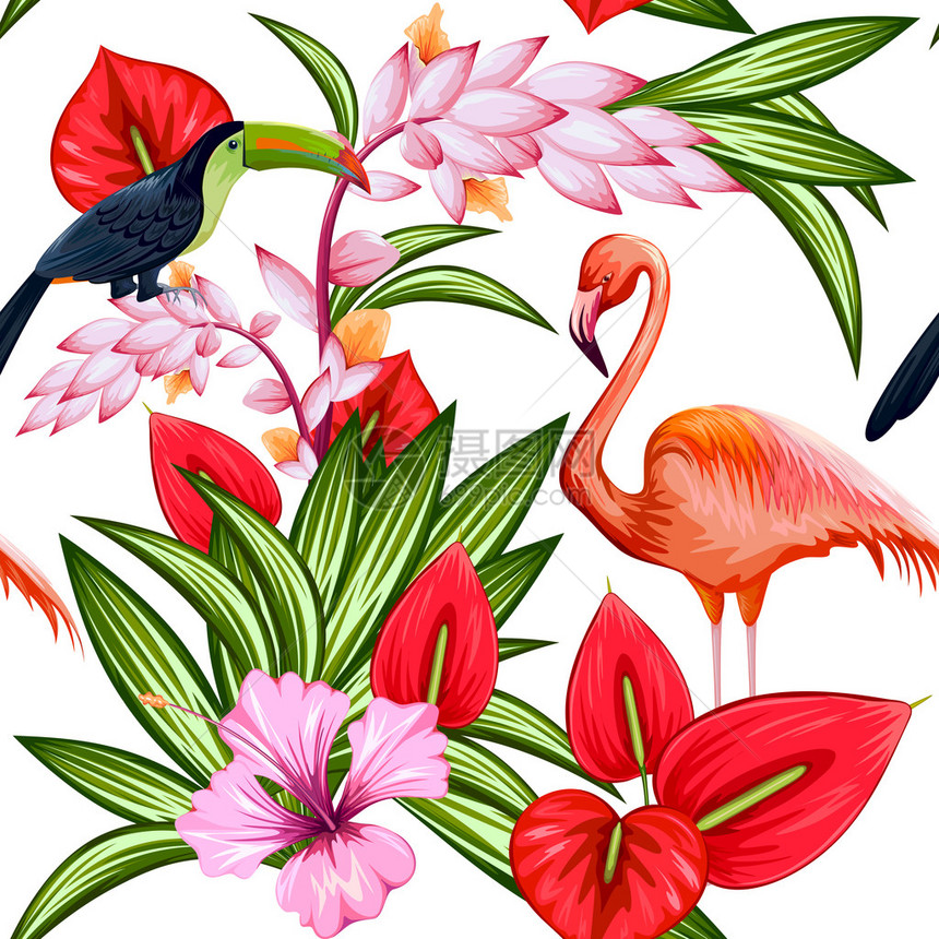 以外来热带花朵和多彩鸟类为无图片