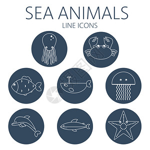 黑海动物以章鱼螃蟹鱼企鹅鲨鱼鲸鱼水母和海星为轮廓图片