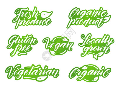 刚出产手绘健康食品字母复古风格的标签标志徽章模板隔离插画