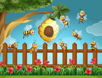 在花园插图中蜜蜂在图片