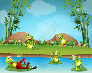 生活在池塘边的五只青蛙插画图片