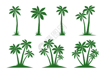 一套棕榈树白色背景图片