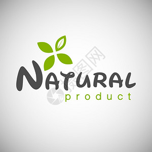 天然产品标志设计模板矢量插图绿叶分支图片
