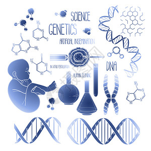 制图基因研究成套材料背景图片