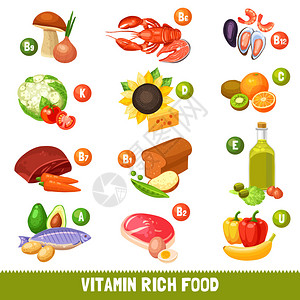 由主要维生素组的主要维他命群体分离的不同食物产品图示集图片
