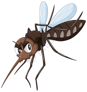 棕色插图中的蚊子图片