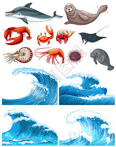 海浪和海洋动物插图图片
