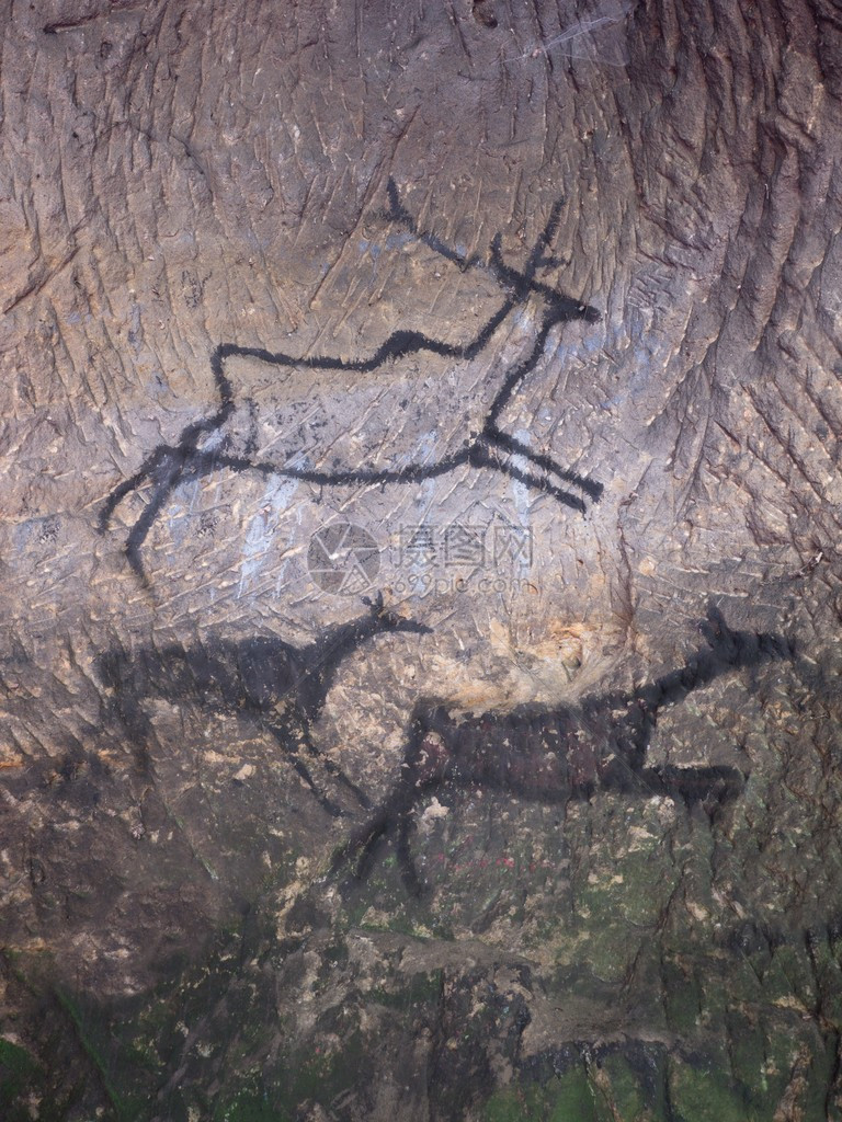 沙石墙上的鹿黑碳涂料图片