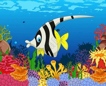 带美海生物背景的滑稽天使鱼卡通背景图片